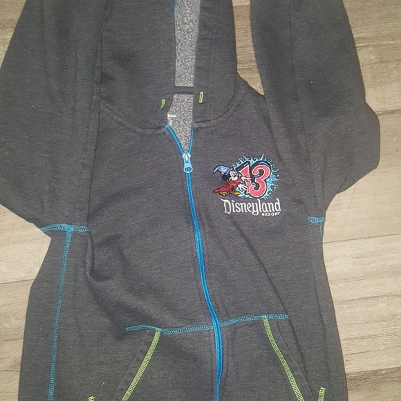 2013 sweater ORIGINAL disney parks  with hoody - Picture 4 of 5